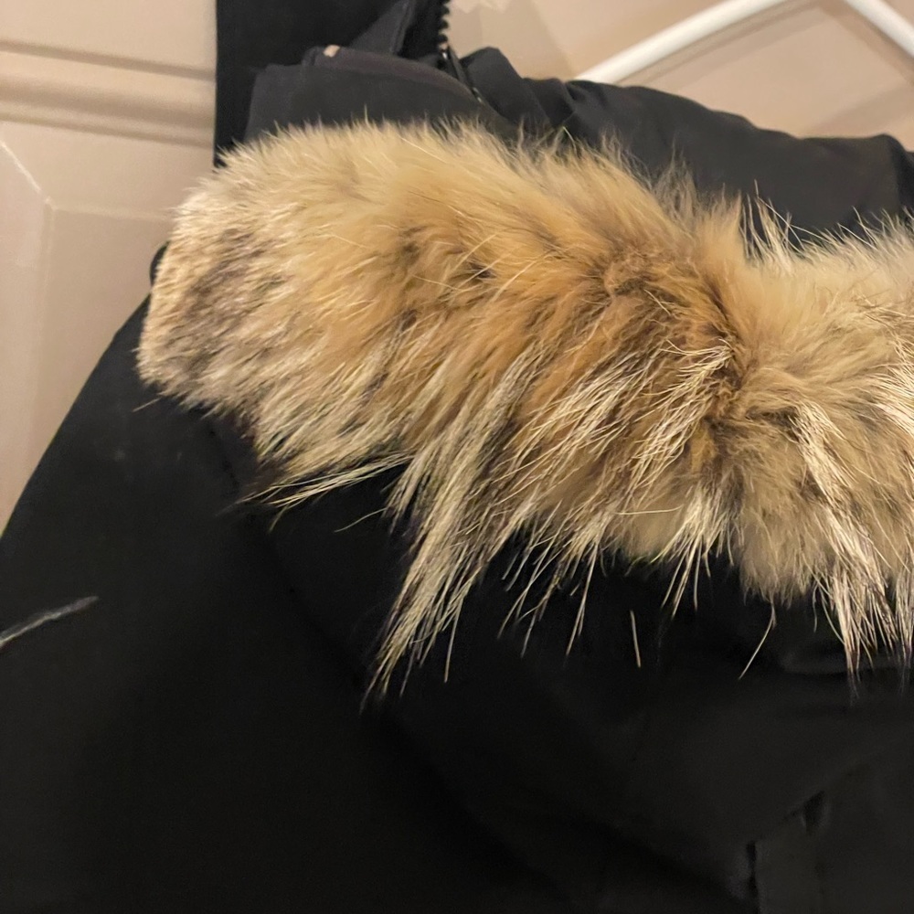 Langford Parka Black - L - Picture 12 of 15